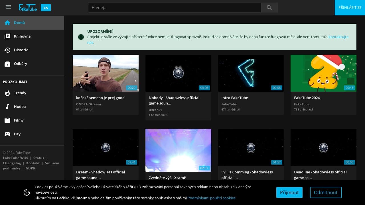 Náhled projektu FakeTube